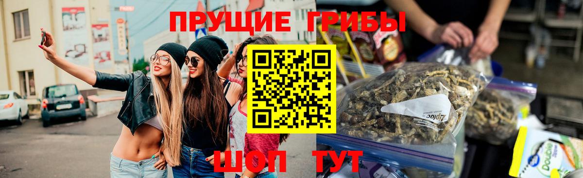 Галлюциногенные грибы Psilocybine cubensis  Вход с VPN  Кушва  Псилоцибиновые грибы Psilocybe 
